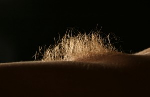 Pubic Hair